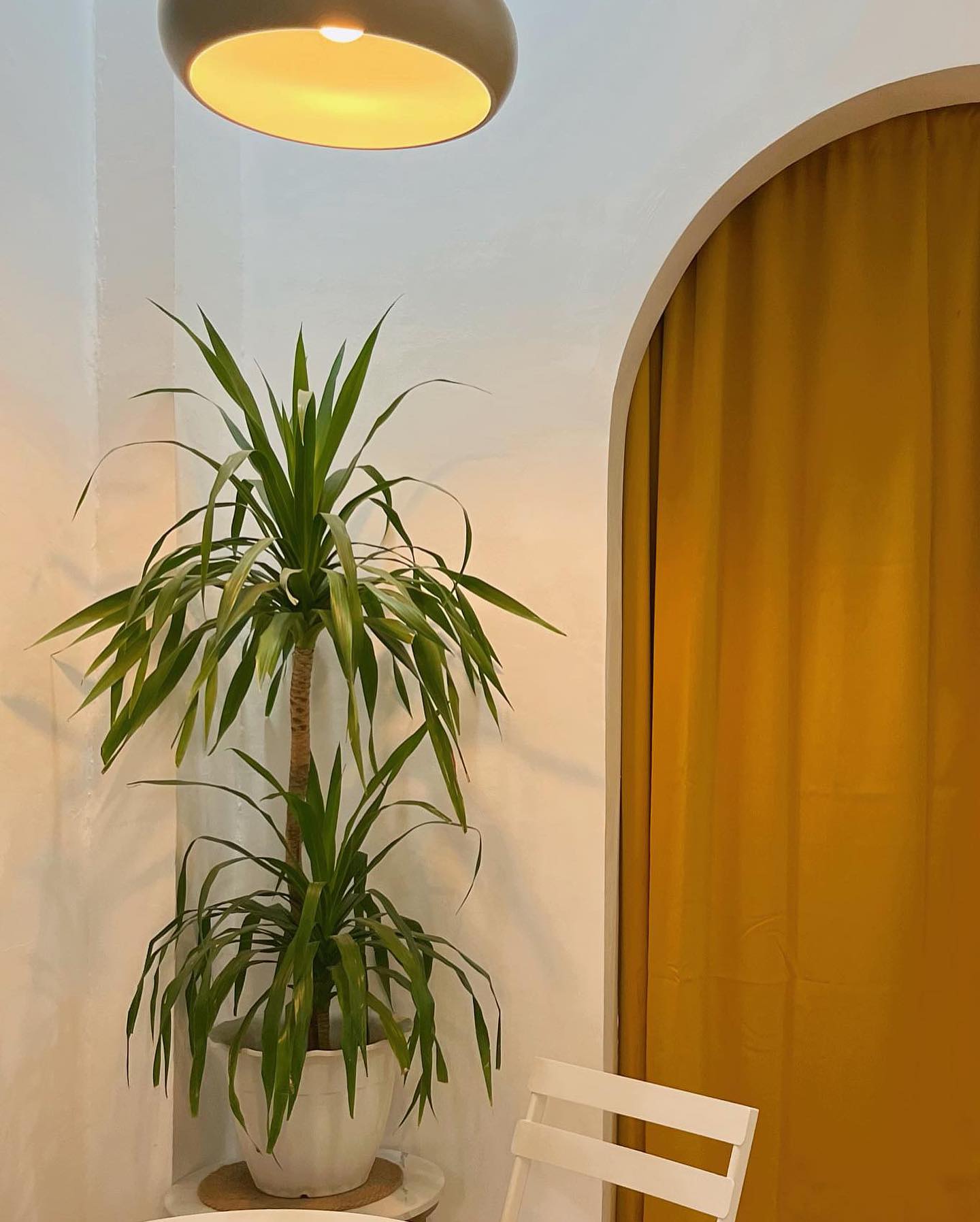 Cozy seat by the arched curtain