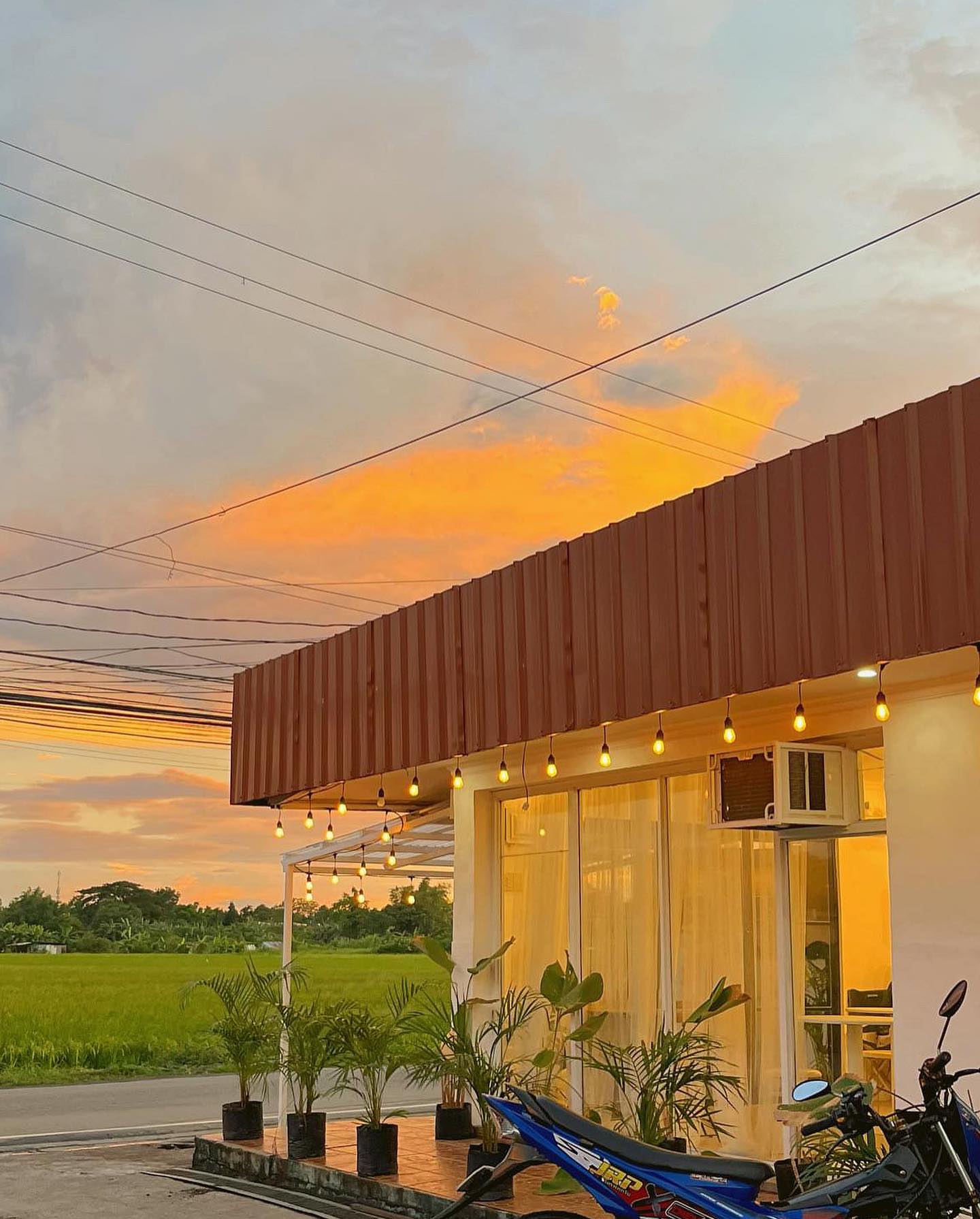 Paulita's storefront at golden hour